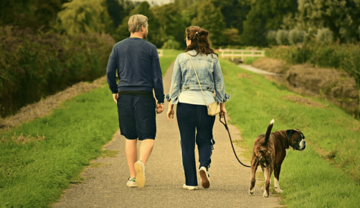 愛犬のリードの選び方！きちんと選んでお散歩をenjoyしよう